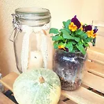 Apartamento La Chicchera *